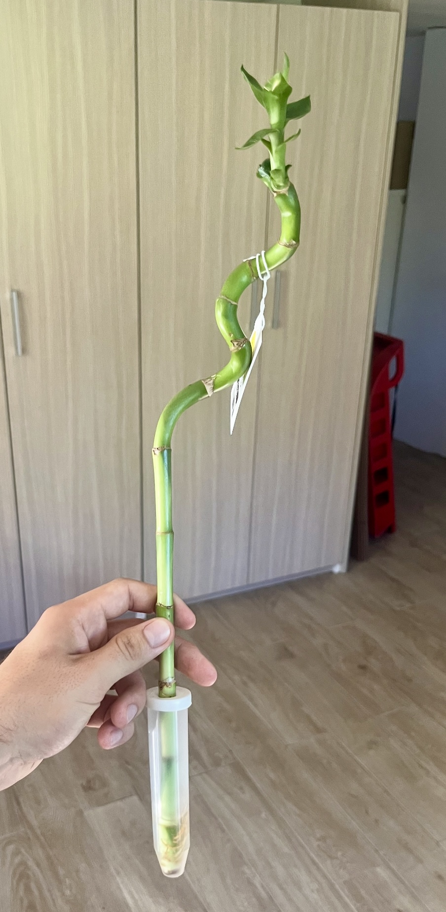 bambus rasierhobel Rasierhobel mit Bambusgriff von Bamboo Switch – Waya main image 0