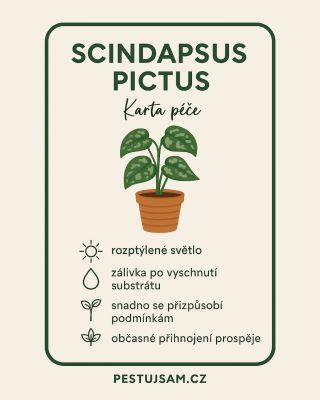 🌿 SCINDAPSUS PICTUS — KARTA PÉČE Hledáš nenáročnou pokojovku, která se přizpůsobí skoro každým podmínkám? Scindapsus je...