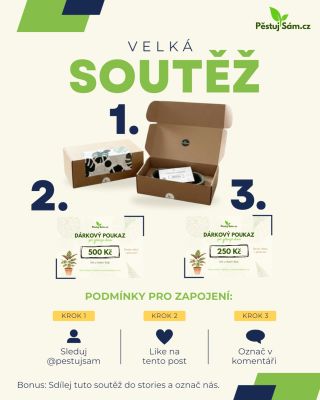 Už jsi někdy vyhrál/a pokojovku? Teď můžeš. Dnes pro vás máme něco speciálního… spouštíme soutěž o naše produkty 💚 Hrajeme...